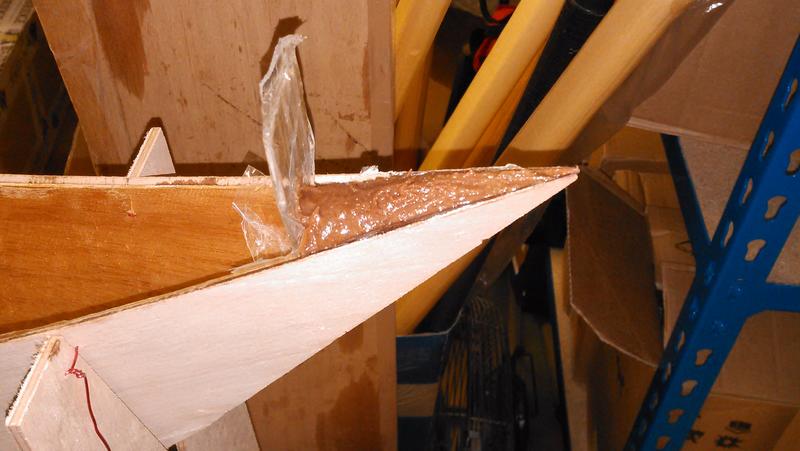 Petrel stitch-and-glue kayak / Build Progress Logs / Fyne 
