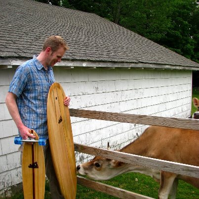 surfboard-and-cows.jpg